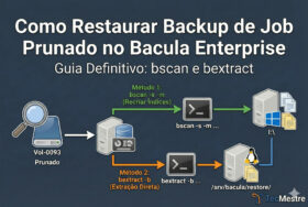 Restaurar Backup de Job Prunado no Bacula Enterprise